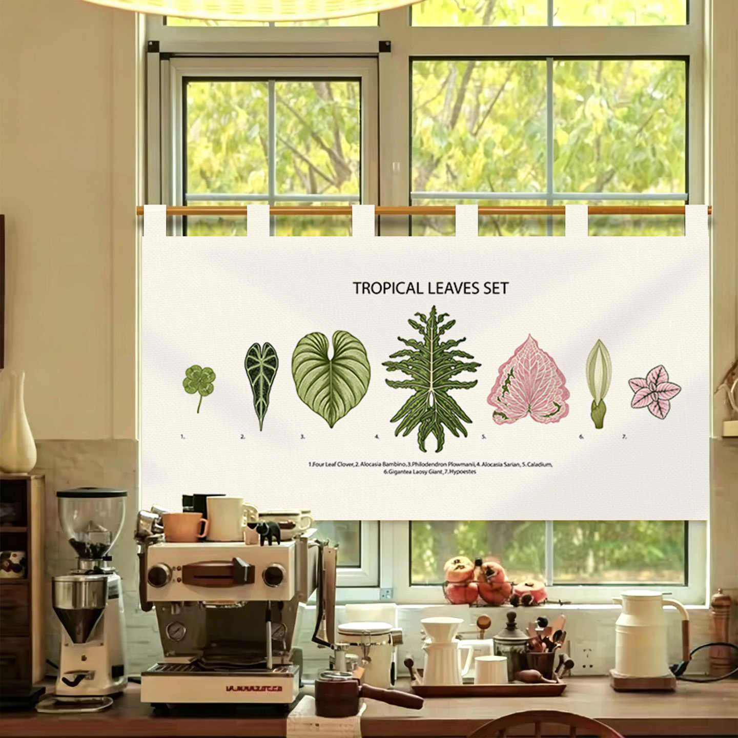 VIKAMA Vintage Hand Drawn Nore - Commercial Window Printing reseña y precio